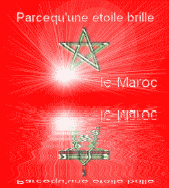 LE DRAPEAU DU BLADI