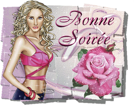 BONNE SOIREE A VOUS